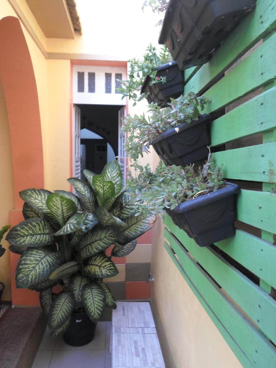 Oasis Do Sertao Hostel E Pousada Triunfo  Eksteriør bilde